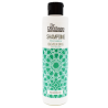 Shampoing cheveux gras