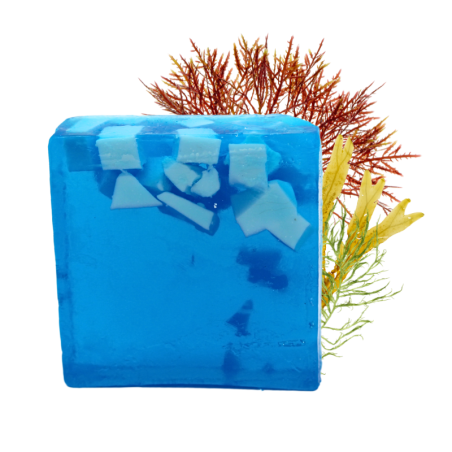 Savon SAF fait à la main - Algues - 100% naturel