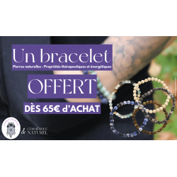 Bracelet en pierres naturelles aléatoire dès 65€ d'achat - Cadeau