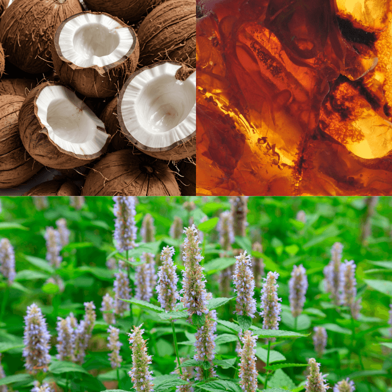 🤎 Coffret Gommage Corps & Soin – 100% Naturel