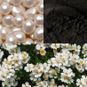 🩶 Coffret Regard & Relaxation – 100% Naturel